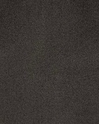 Emmi Espresso by  Magnolia Fabrics  