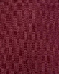 Jagger Beet by  Stroheim 