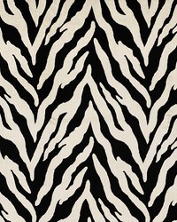 Escape Zebra by   