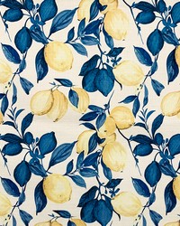 Correa Cobalt by  Magnolia Fabrics  