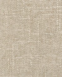 Twine Taupe by  Magnolia Fabrics  