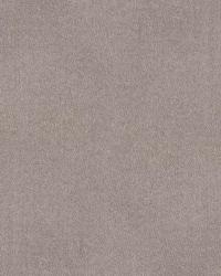 800256H 43 by  Highland Court 