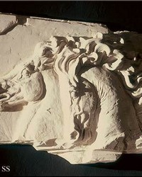 Roman Horse Fragment by   