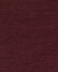 Remy Wine by  Bailey and Griffin 