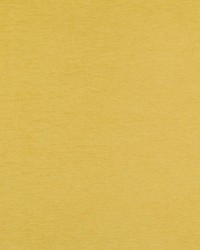 Remy Sunflower by  Bailey and Griffin 