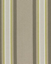 Amboise Stripe Pewter by  Bailey and Griffin 