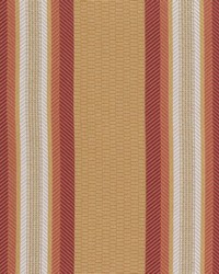 Amboise Stripe Goldmelon by  Bailey and Griffin 