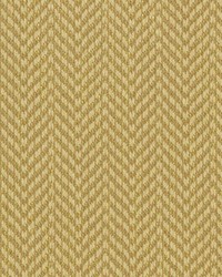 Lambda Sunflower by  Bailey and Griffin 