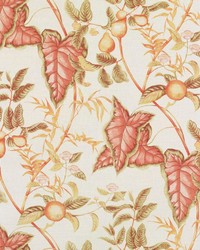 Puccini Spice by  Bailey and Griffin 