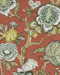 Dumas Crimson by  Bailey and Griffin 