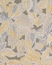 BE42583 174 GRAPHITE by  Duralee 