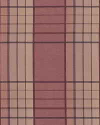 BG61781 17 ROSE by  Bailey and Griffin 