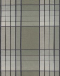 BG61781 257 MOSS by  Bailey and Griffin 