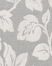 BV16390 173 SLATE by   