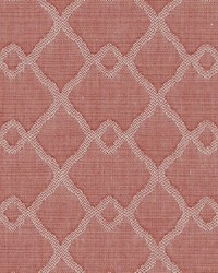 BU16309 17 ROSE by  Bailey and Griffin 