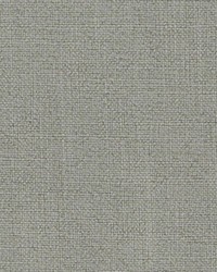 BU16313 24 CELADON by  Bailey and Griffin 