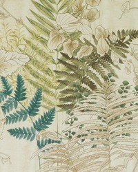 BE42584 257 MOSS by  Duralee 