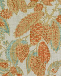 BE42586 136 SPICE by  Duralee 