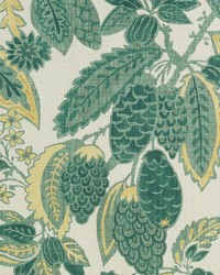 BE42586 257 MOSS by  Duralee 