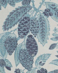 BE42586 76 CADET by  Duralee 