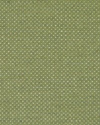 Dumbarton Pistachio by  Bailey and Griffin 