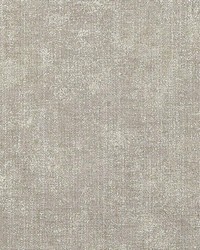 Doges Parchment by  Bailey and Griffin 