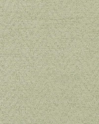 Cosmati Celery by  Bailey and Griffin 