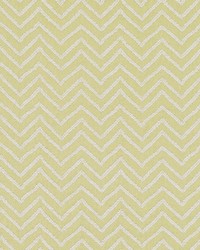 Fiore Chevron Wasabi by  Bailey and Griffin 