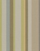 Bailey and Griffin COURSON STRIPE CELADON