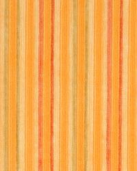 Prism Stripe Citrus by   