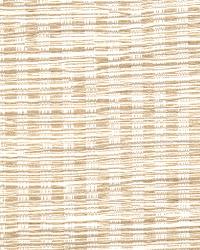 Balcony Birch by  S Harris 