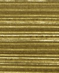 Skyline Wild Lime by   