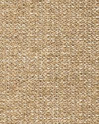 Bristol Chenille Travertine by   