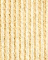 Belva Stripe Biscotti by   