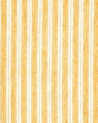 Belva Stripe Honey by   