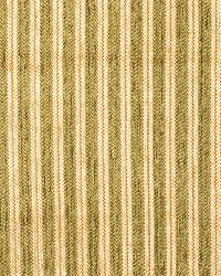 Belva Stripe Laurel by   