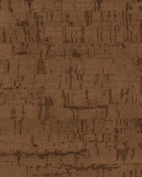 Corcho Fossil by  S Harris 