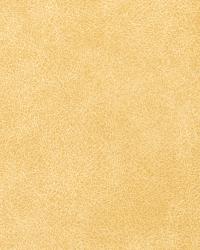 Tycoon Goldleaf by  S Harris 