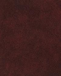 Tycoon Lacquer by  S Harris 