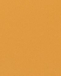 Perpetual Harvest by  S Harris 