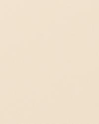 Perpetual Seashell by  S Harris 