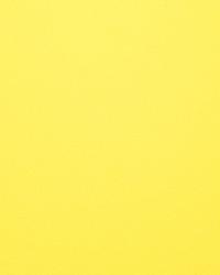 Perpetual Neon by  S Harris 