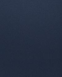 Perpetual Midnight by  S Harris 