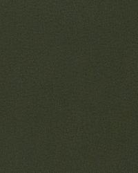 Pivotal Eucalyptus by  S Harris 