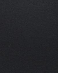 Pivotal Onyx by  S Harris 