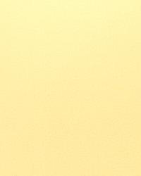 Pivotal Jasmine by  S Harris 