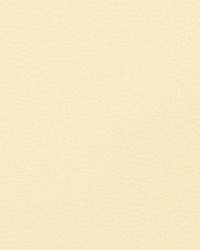 Pivotal Hemp by  S Harris 