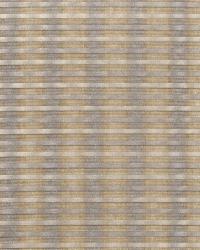 Rocket Stripe Doe by   