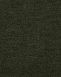 Lambourne Cypress by   