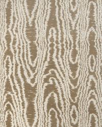 BARON BOIS PORTABELLO by  S Harris 